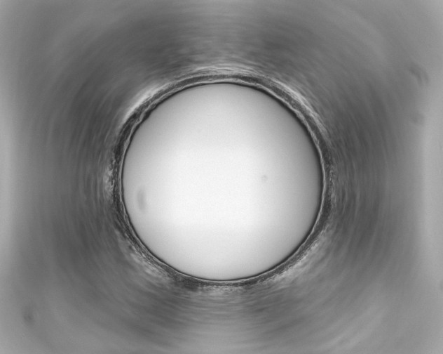 X0000111591163200907161147