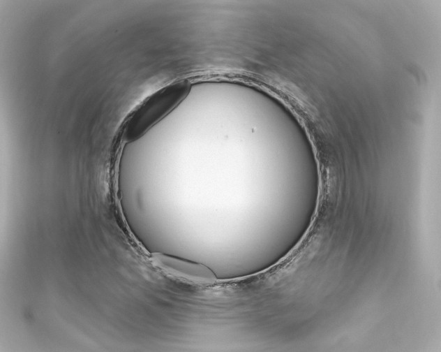 X0000111591165200907161147