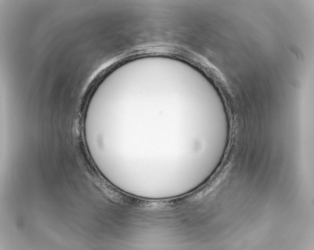 X0000111591166200907161147