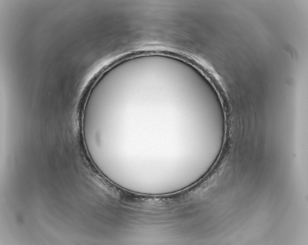 X0000111591167200907161147