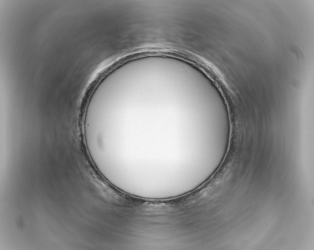 X0000111591168200907161147
