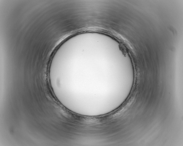 X0000111591170200907161147