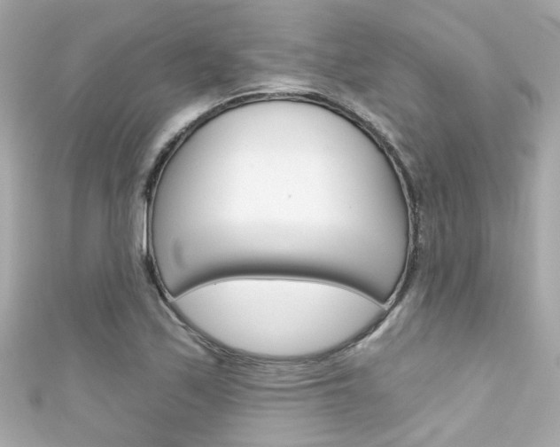 X0000111591171200907161147