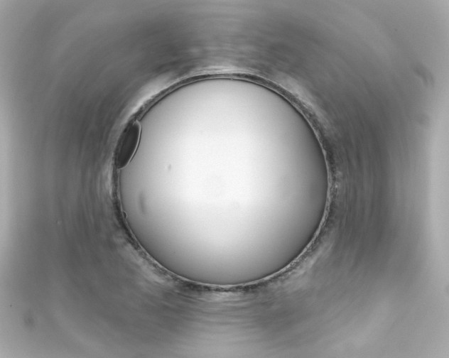 X0000111591173200907161147