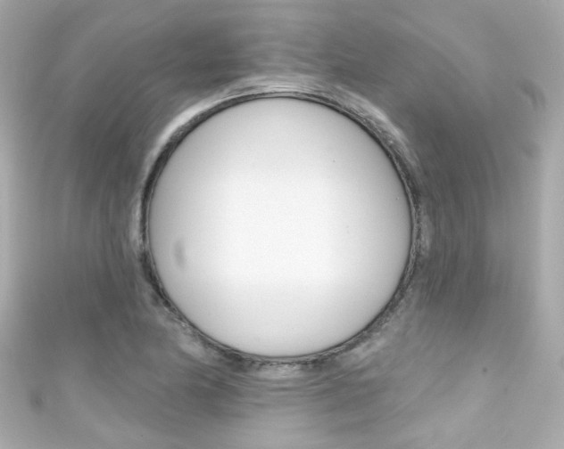 X0000111591174200907161147