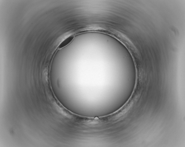 X0000111591177200907161147