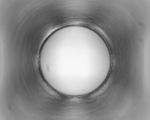X0000111591178200907161147