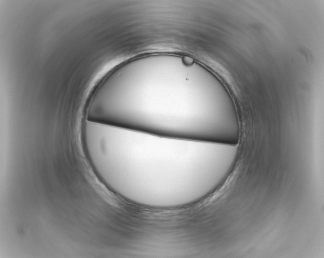 X0000111591179200907161147