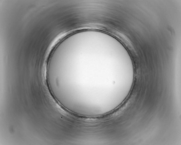 X0000111591180200907161147