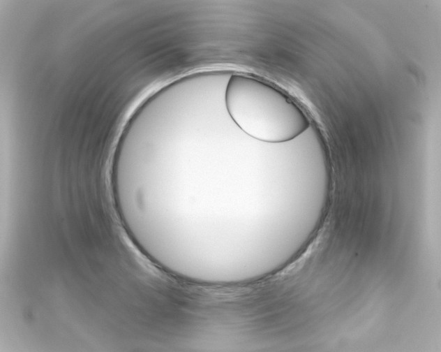 X0000111591181200907161147