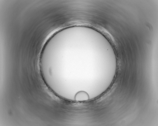 X0000111591182200907161147