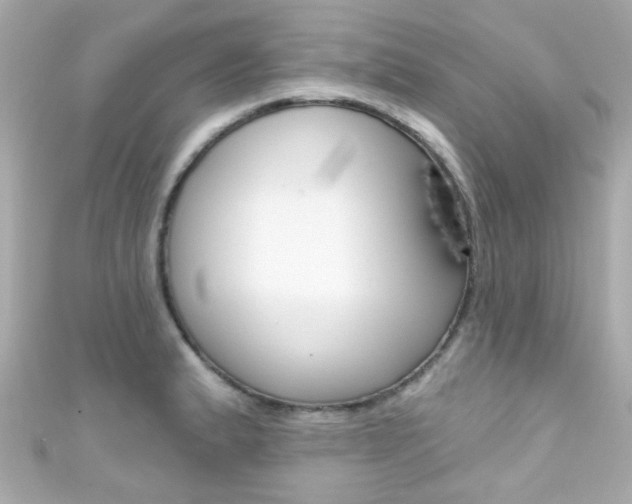 X0000111591183200907161147