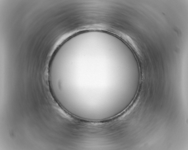 X0000111591184200907161147