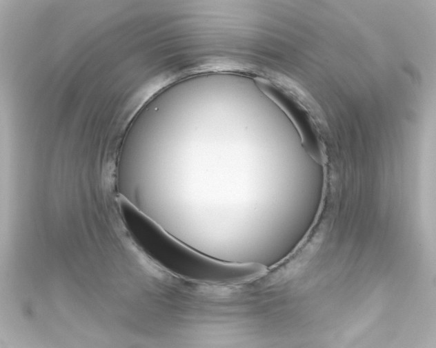 X0000111591185200907161147