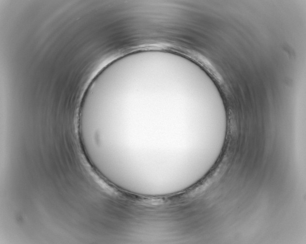 X0000111591186200907161147