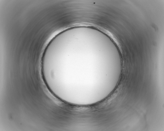 X0000111591187200907161147