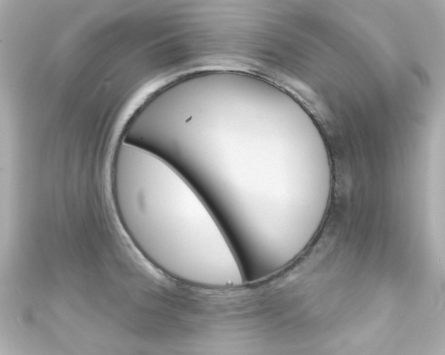 X0000111591188200907161147