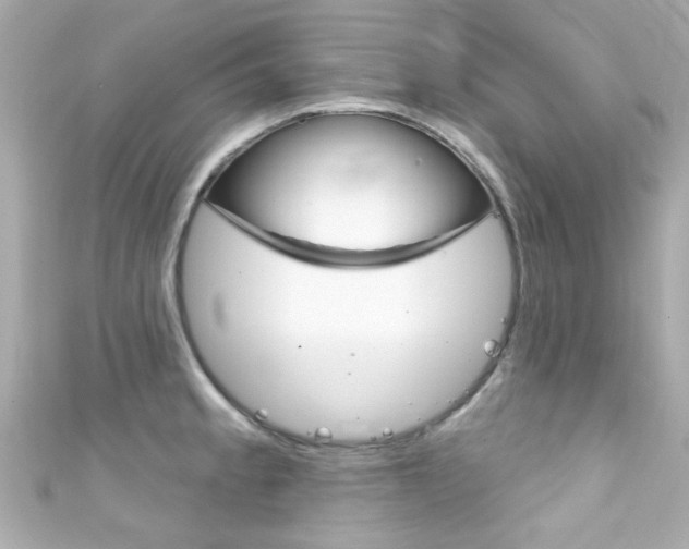 X0000111591189200907161147