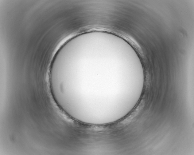 X0000111591190200907161147