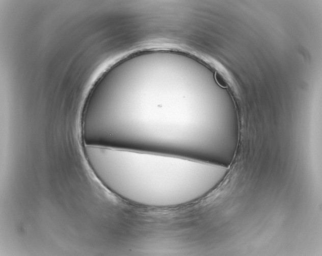 X0000111591191200907161147