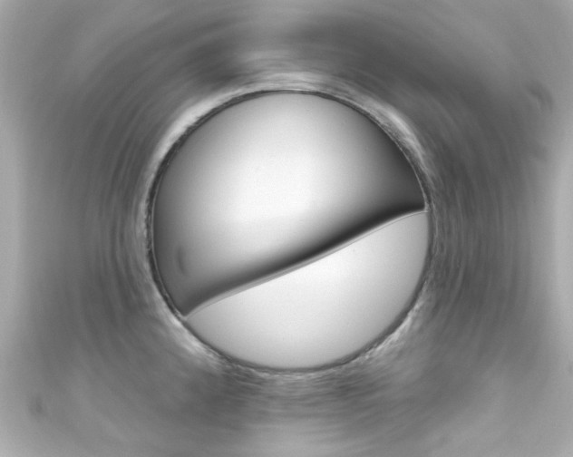 X0000111591192200907161147