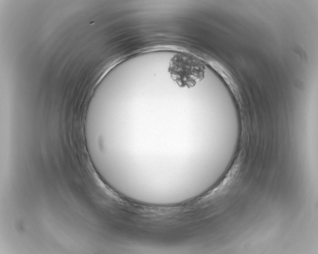 X0000111591193200907161147