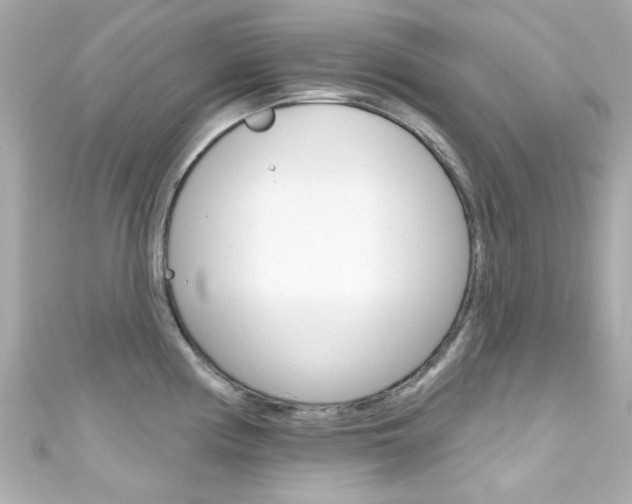 X0000111591194200907161146