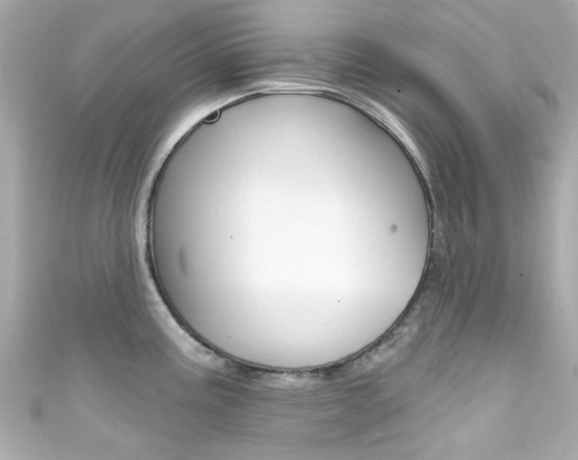 X0000111591195200907161146