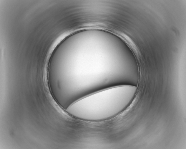 X0000111591196200907161146