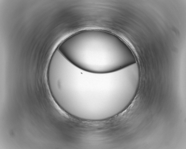 X0000111591197200907161146