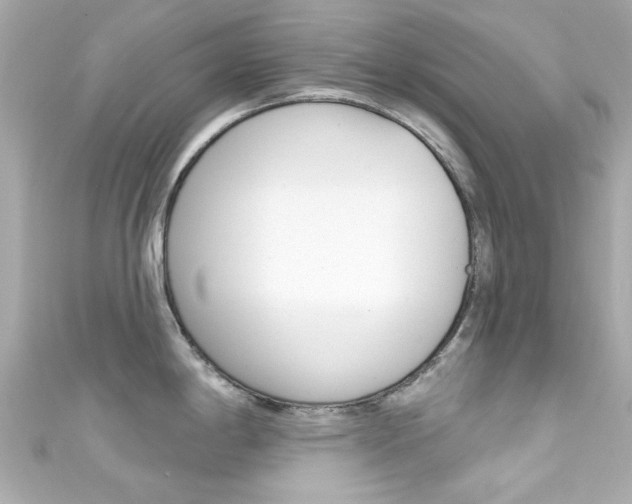 X0000111591198200907161146