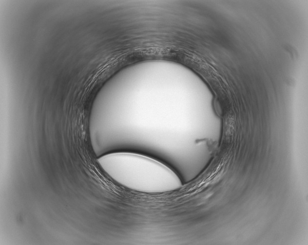 X0000111591202200907161146