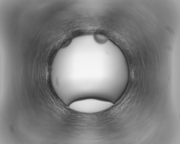X0000111591204200907161146