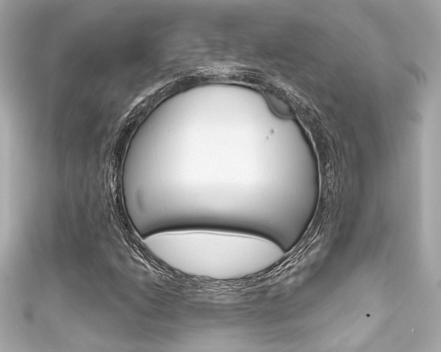 X0000111591206200907161146
