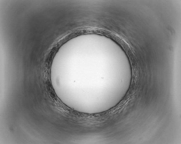 X0000111591207200907161146
