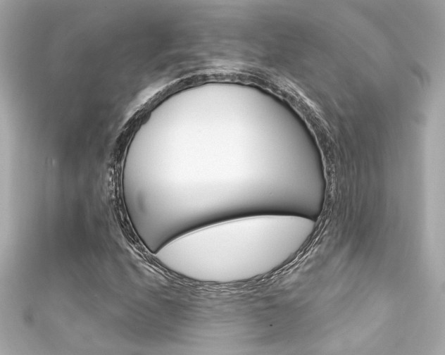 X0000111591208200907161146