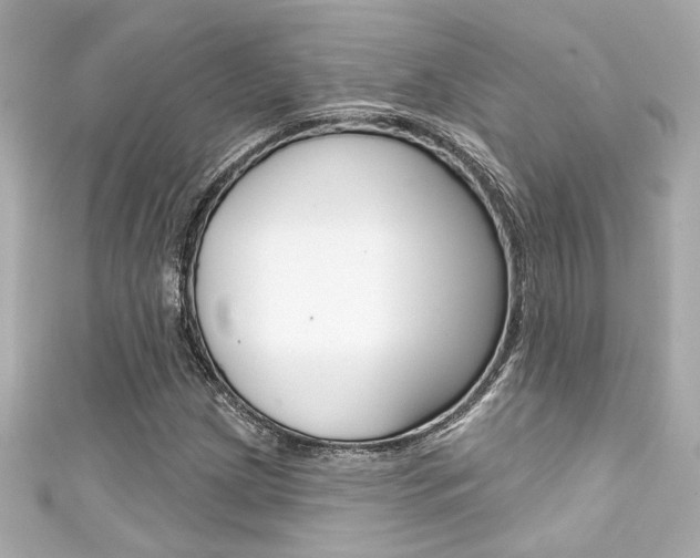 X0000111591209200907161146