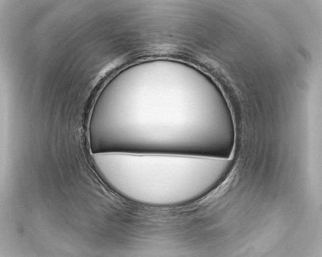 X0000111591210200907161146