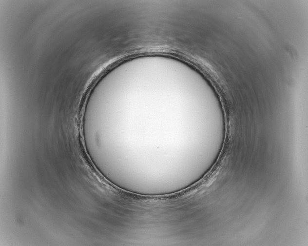 X0000111591212200907161146