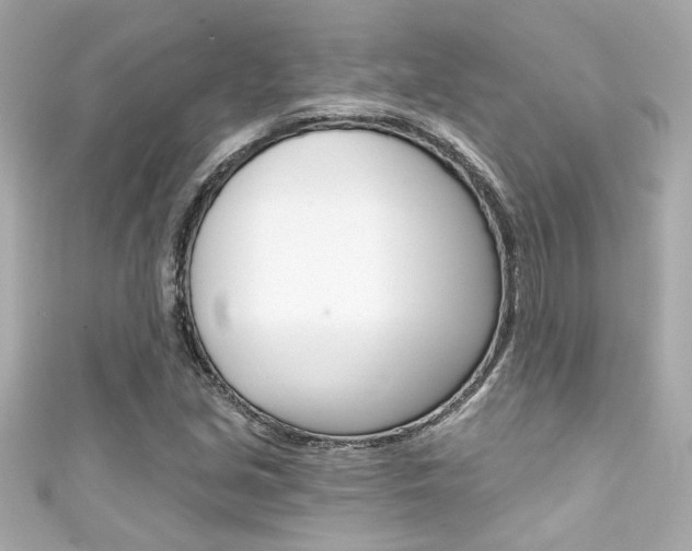 X0000111591213200907161146