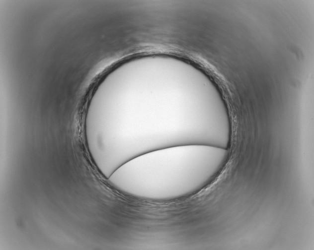 X0000111591215200907161146