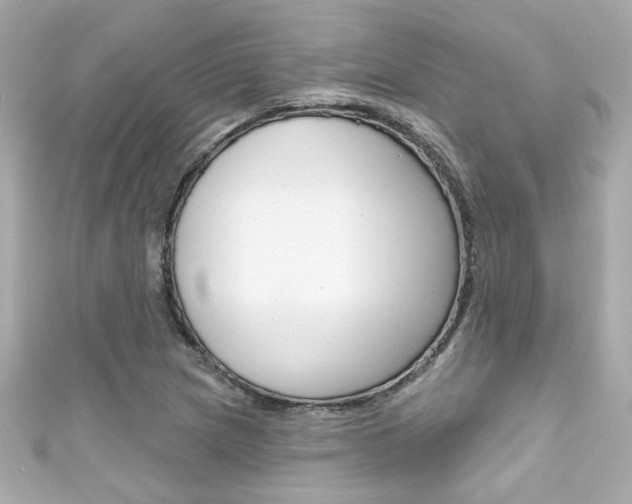 X0000111591217200907161146