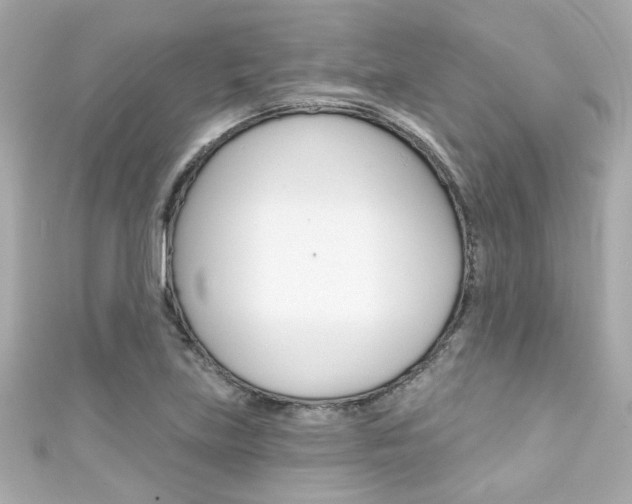 X0000111591219200907161146