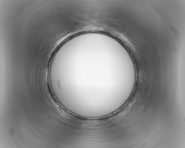 X0000111591220200907161146