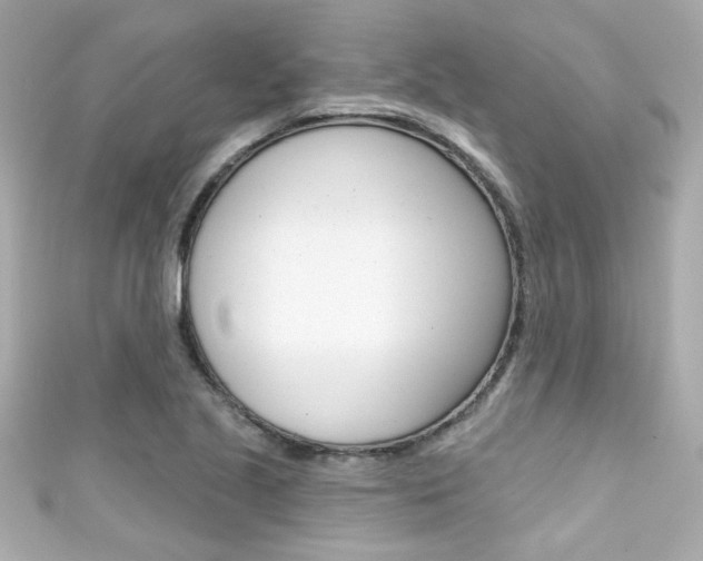 X0000111591221200907161146