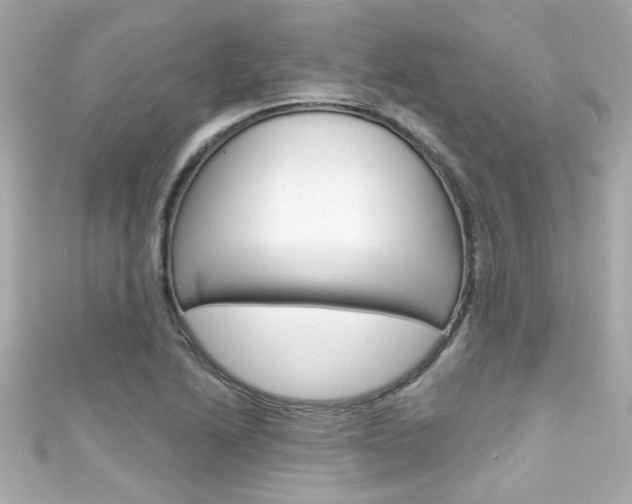 X0000111591222200907161146