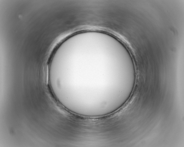 X0000111591223200907161146