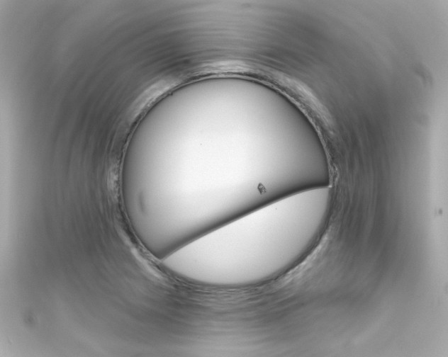 X0000111591225200907161146
