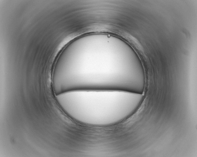X0000111591226200907161146