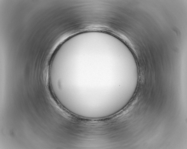 X0000111591227200907161146